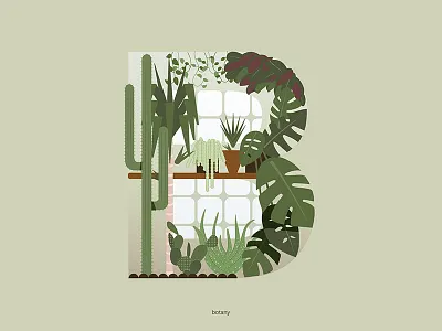 Botany botanical botany cacti green illustration plants succulent typography