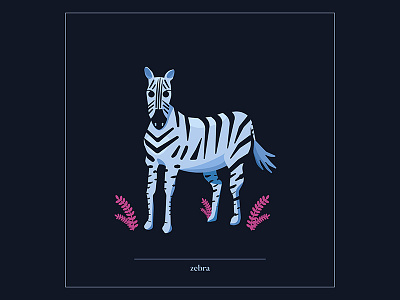 Zebra animal illustration vector vector graphic zebra
