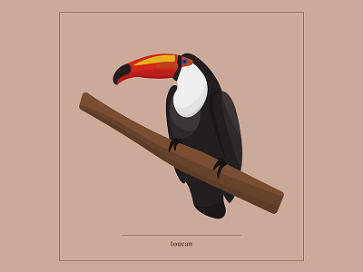 Toucan animal animal series computer art digital art illustration spot illustration toucan vector vector art