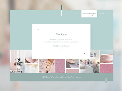 Blush feminine website design