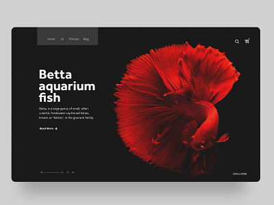 Betta Fish UI concept design flat ui ux