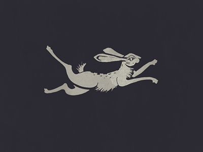 Hare branding design illustration