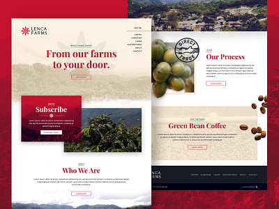 Lenca Farms Homepage bean coffee design direct trade farm grid honduras layout subscription typography website