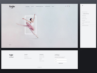 Grishko main page ballet clothes dance design grishko main page web