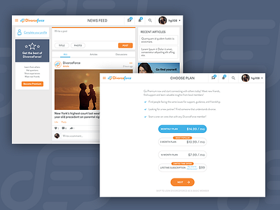 Divorce Force apps design ios native app ui design