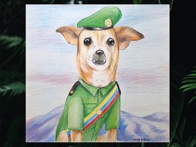 Pedro the Dictator dictator dog illustration pet portrait