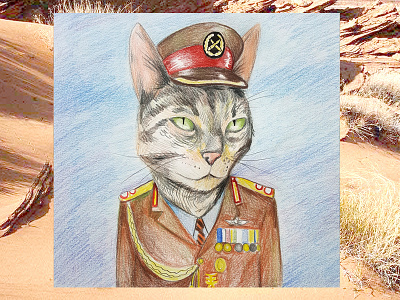 Francis the Dictator cat dictator illustration pets portrait