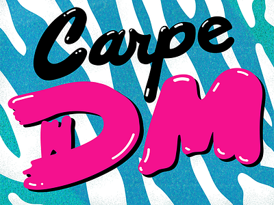 Seize the Day dm illustration lettering lettering art typography