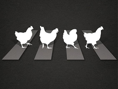 Comedy Poster Concept abbey road beatles chicken comedy graphics illustration illustrator poster road