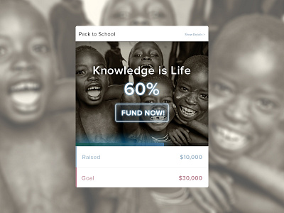 Knowledge is Life croundfunding fund fundraising knowledge life minimal raise widget