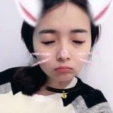 Rabbit-Dan