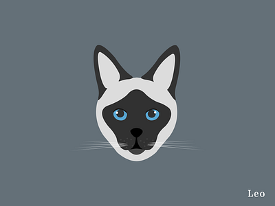 Siamese cat illustration