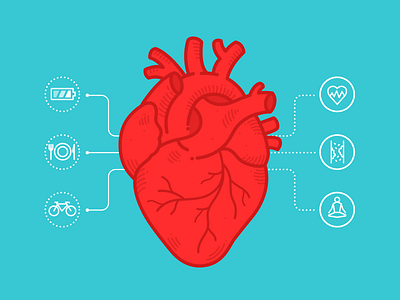 Infographics about heart - for Hello Zdrowie animation health heart icon illustration infographics vector