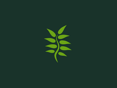 Spine Leaf WIP chiropractic leaf logo spine wip