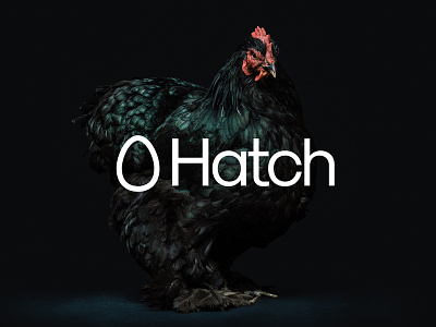 Hatch (Work in Progress) branding egg icon identity logomark wip