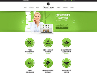 Web Design for Professional IT Services design ui web design