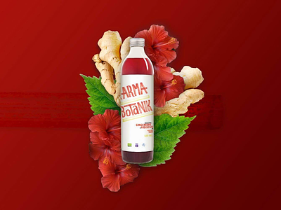 Karma Botanik - Rebranding branding drink energy flowers fruits ginger healthy hibiscus packaging rebranding red