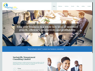 SpringVille Consulting | Web Design