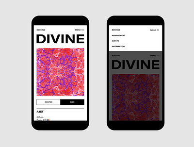 Divine Musique — UX & Interactive Art Direction agency art direction design interface management music responsive site ui ux web