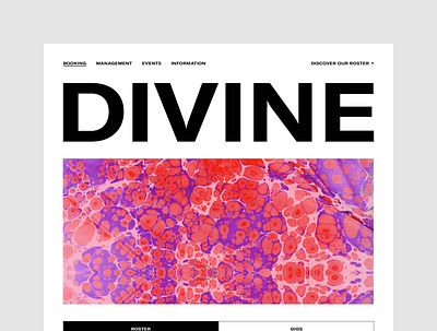 Divine Musique — UX & Interactive Art Direction agency art direction design interface management music responsive site ui ux web