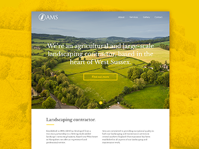 AMS website clean flat gallery icons layout typography ui ux webdesign website