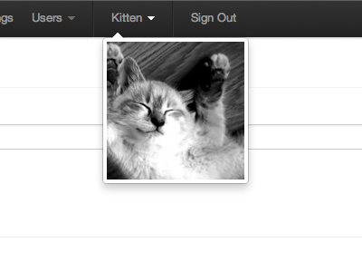 Important Admin Detail admin bootstrap kittens whimsy
