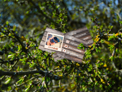 FREE Mock-up - Tree Business Card free freebie camera adventure trip travel kit branding outdoor nature mockup