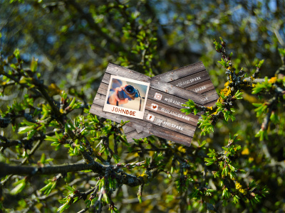 FREE Mock-up - Tree Business Card adventure branding camera free freebie kit mockup nature outdoor travel trip