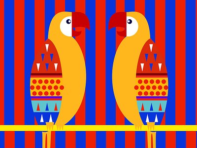Crazy parrot animal color crazy happy illustrations parrot ps sketch