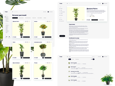 Concept flower shop and blog – 2 layout shope store ui ux web
