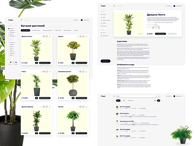 Concept flower shop and blog – 2