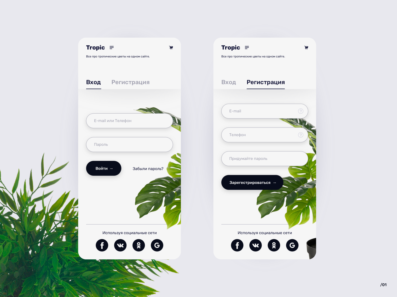 Sign in / Sign up UI by Sergey on Dribbble