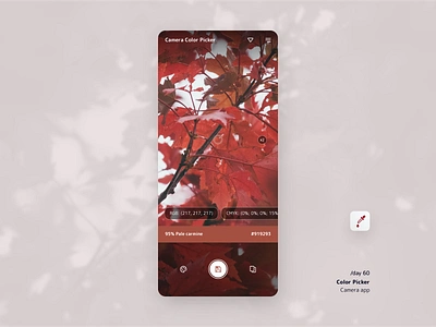 Color Picker 060 app camera color daily ui mobile photo picker ui