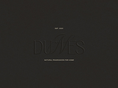 Logo Aesthetics for DUNES