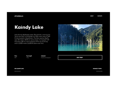 Kaindy Lake concept interface kazakhstan tourism ui ux uxui web web design