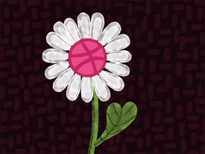 First Shot contrast debut flower illustration pattern whimsical