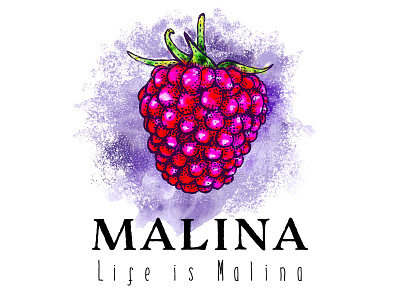 Malina fruit logo hand art hand drawing hand made raspberry small business