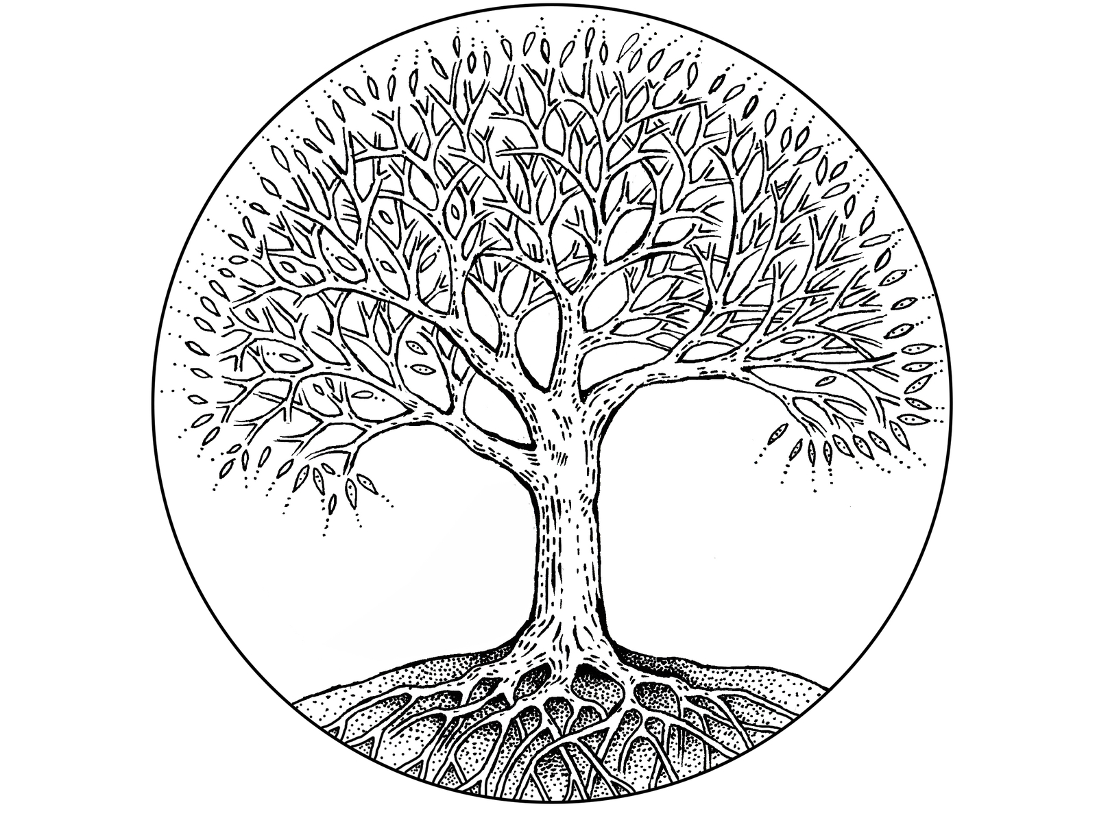 Дерево жизни схематично в круге