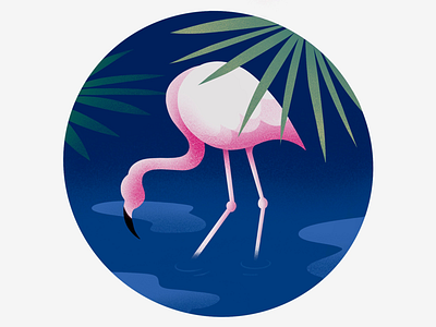 Flamingo design firstshot flat illustration ipadproart procreate