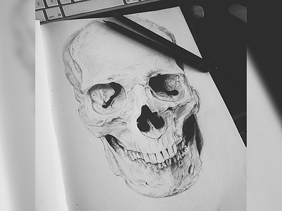 Skull (Drawing) - Final art artist draw drawing illustration illustrator portrait sketch sketchbook skull