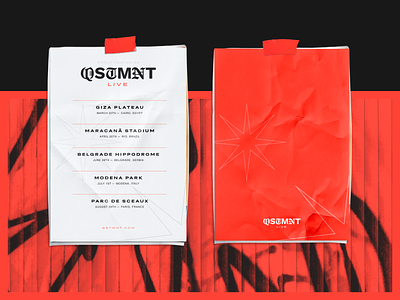 The QSTMNT Project