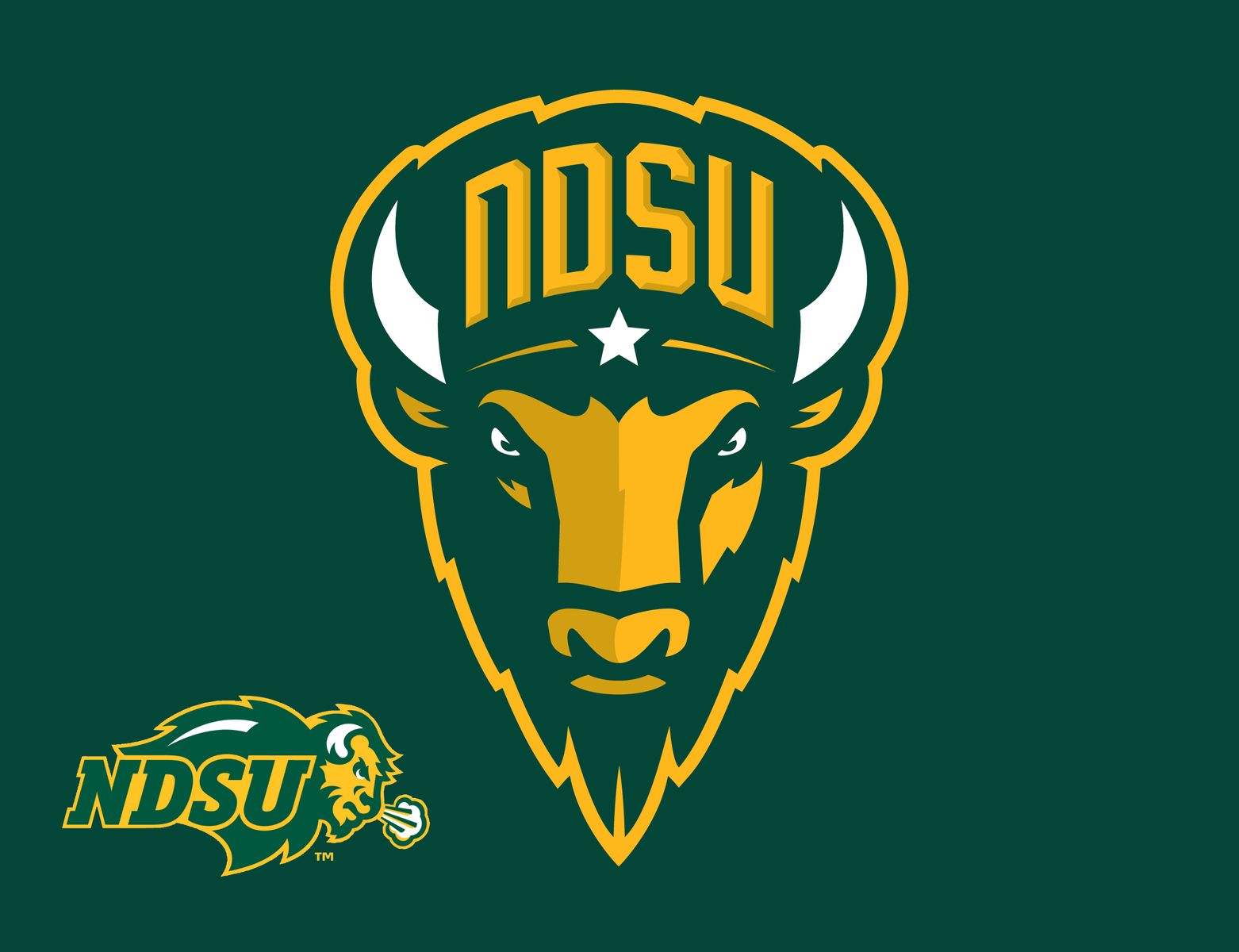 NCAA North Dakota State University Bison Logo Redesign by Alex