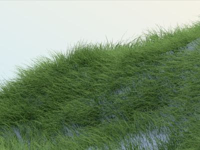 C4D hair-Grass landscape