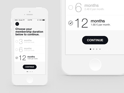 Subscription process flat helvetica ios iphone minimalistic simple slovenia white