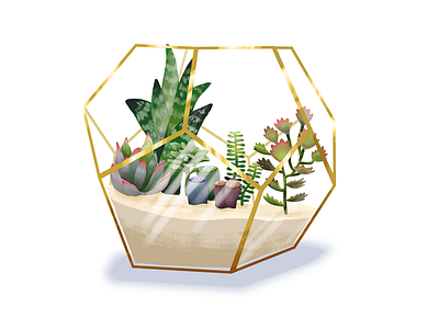 Terrarium cactus glass gold illustration metal photoshop plants sand succulents terrarium