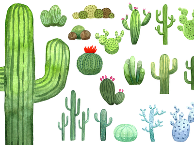 Watercolor Cacti