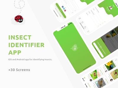 Insect Identifier App || UX/UI 2019 trend android app app design application design dribble shot green icon illustration insect ios ios app iphone minimal new trend ui ux ux design