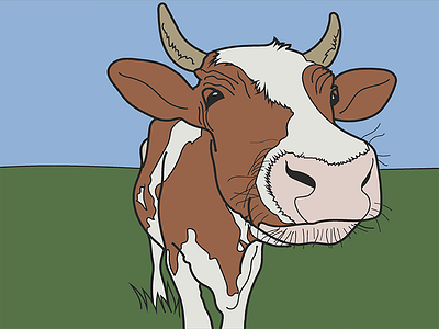 Cow