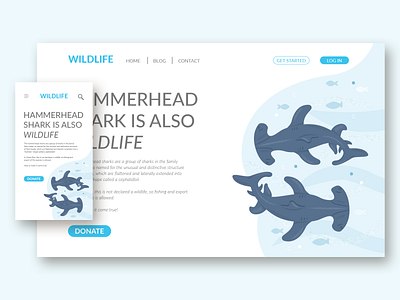 Wildlife illustration layoutdesign shark ui vector