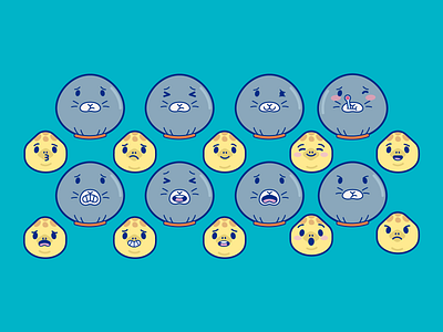 Seal&turtle expressions